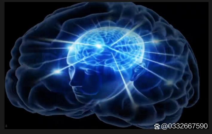 某当红小花旦被爆片场耍大牌，导演组集体沉默